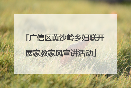 广信区黄沙岭乡妇联开展家教家风宣讲活动