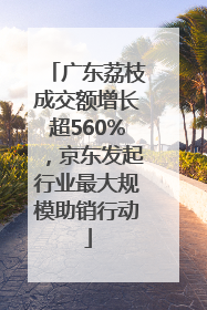 广东荔枝成交额增长超560%，京东发起行业最大规模助销行动