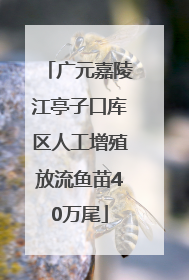 广元嘉陵江亭子口库区人工增殖放流鱼苗40万尾