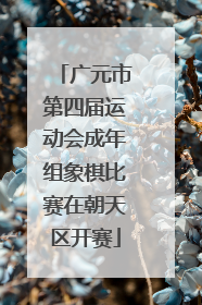 广元市第四届运动会成年组象棋比赛在朝天区开赛