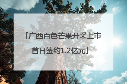 广西百色芒果开采上市 首日签约1.2亿元