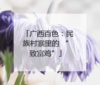 广西百色：民族村寨里的 “致富鸡”