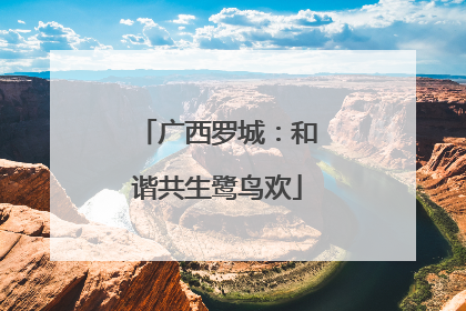 广西罗城：和谐共生鹭鸟欢