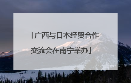 广西与日本经贸合作交流会在南宁举办