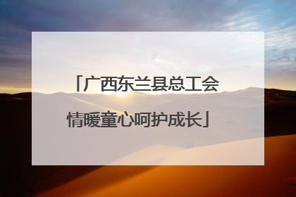 广西东兰县总工会情暖童心呵护成长