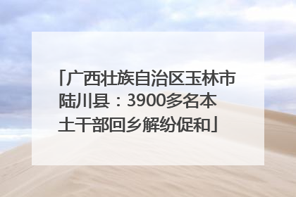 广西壮族自治区玉林市陆川县：3900多名本土干部回乡解纷促和