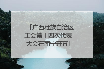 广西壮族自治区工会第十四次代表大会在南宁开幕