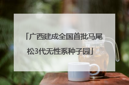 广西建成全国首批马尾松3代无性系种子园