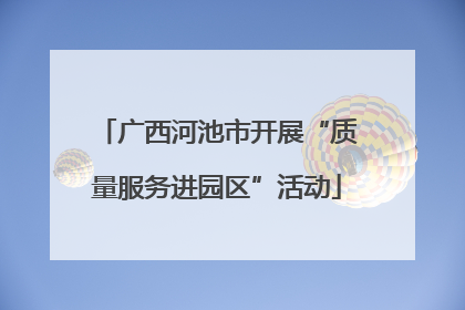 广西河池市开展“质量服务进园区”活动