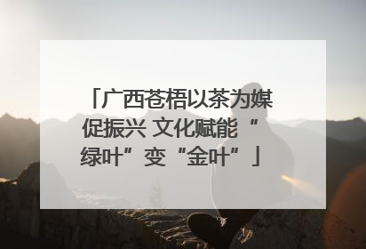 广西苍梧以茶为媒促振兴 文化赋能“绿叶”变“金叶”
