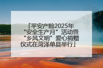 平安产险2025年“安全生产月”活动暨“乡风文明”爱心捐赠仪式在菏泽单县举行
