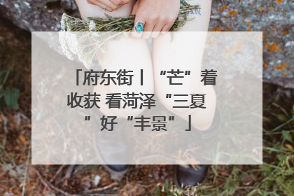 府东街丨“芒”着收获 看菏泽“三夏”好“丰景”