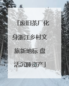 废旧茶厂化身浙江乡村文旅新地标 盘活沉睡资产