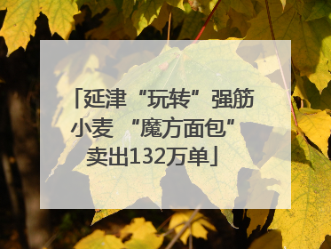 延津“玩转”强筋小麦 “魔方面包”卖出132万单