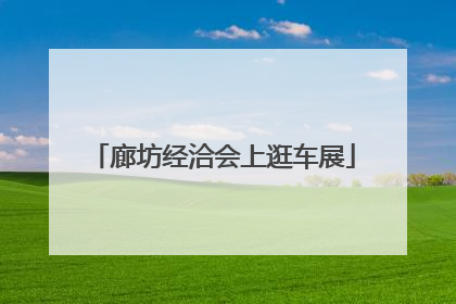 廊坊经洽会上逛车展
