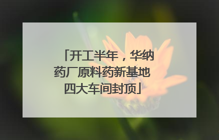 开工半年，华纳药厂原料药新基地四大车间封顶