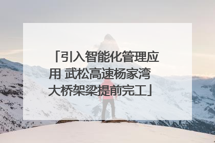 引入智能化管理应用 武松高速杨家湾大桥架梁提前完工