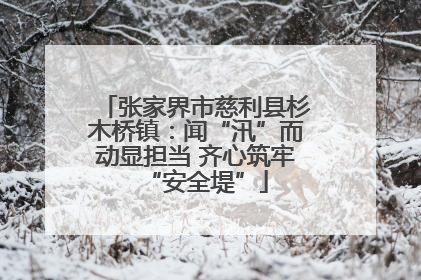 张家界市慈利县杉木桥镇：闻“汛”而动显担当 齐心筑牢“安全堤”
