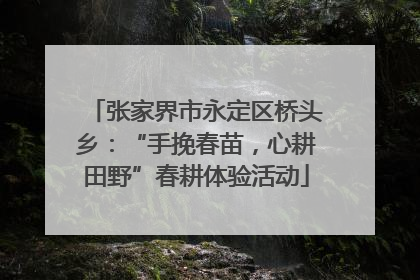张家界市永定区桥头乡：“手挽春苗，心耕田野”春耕体验活动