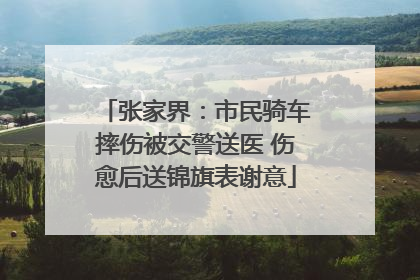 张家界：市民骑车摔伤被交警送医 伤愈后送锦旗表谢意