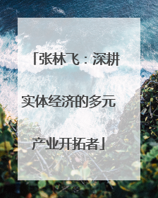 张林飞：深耕实体经济的多元产业开拓者