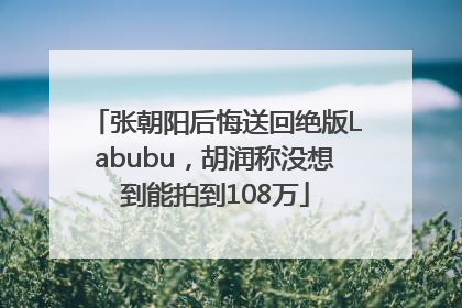张朝阳后悔送回绝版Labubu，胡润称没想到能拍到108万