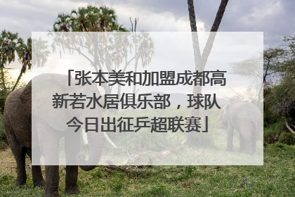 张本美和加盟成都高新若水居俱乐部，球队今日出征乒超联赛