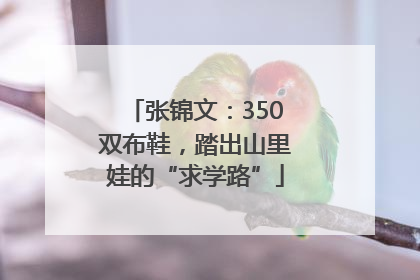 张锦文：350双布鞋，踏出山里娃的“求学路”