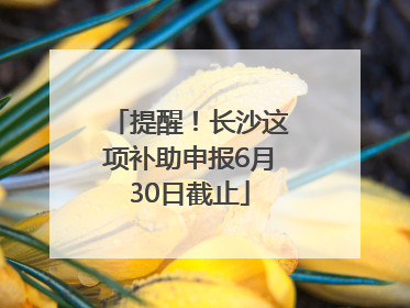 提醒！长沙这项补助申报6月30日截止