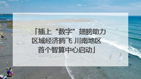 插上“数字”翅膀助力区域经济腾飞 川南地区首个智算中心启动