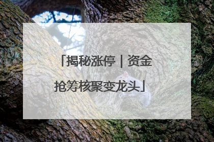 揭秘涨停｜资金抢筹核聚变龙头