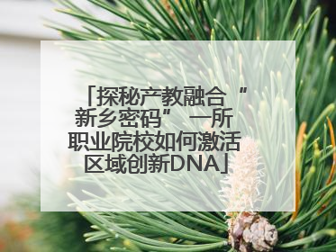 探秘产教融合“新乡密码” 一所职业院校如何激活区域创新DNA