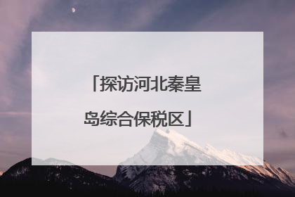 探访河北秦皇岛综合保税区