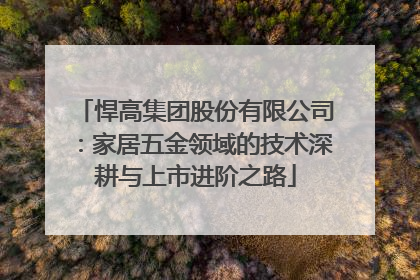 悍高集团股份有限公司：家居五金领域的技术深耕与上市进阶之路