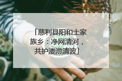 慈利县阳和土家族乡：净网清河，共护溇澧清波