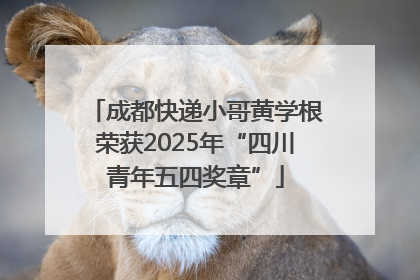 成都快递小哥黄学根荣获2025年“四川青年五四奖章”