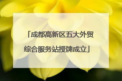 成都高新区五大外贸综合服务站授牌成立