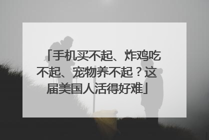手机买不起、炸鸡吃不起、宠物养不起？这届美国人活得好难