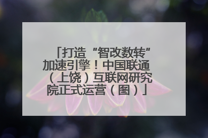 打造“智改数转”加速引擎！中国联通（上饶）互联网研究院正式运营（图）
