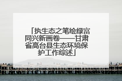 执生态之笔绘绿富同兴新画卷——甘肃省高台县生态环境保护工作综述