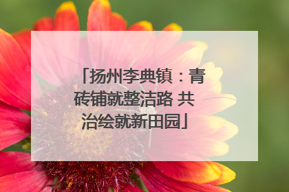 扬州李典镇：青砖铺就整洁路 共治绘就新田园