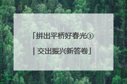 拼出平桥好春光③｜交出振兴新答卷