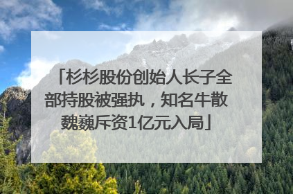 杉杉股份创始人长子全部持股被强执，知名牛散魏巍斥资1亿元入局