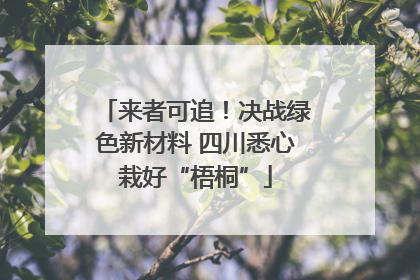 来者可追！决战绿色新材料 四川悉心栽好“梧桐”