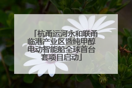 杭甬运河永和联甬临港产业区暨纯甲醇电动智能船全球首台套项目启动