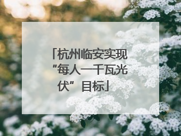 杭州临安实现“每人一千瓦光伏”目标