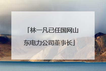 林一凡已任国网山东电力公司董事长