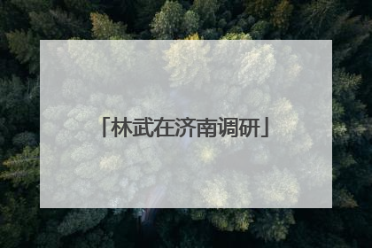 林武在济南调研