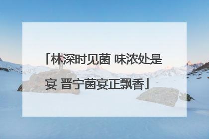 林深时见菌 味浓处是宴 晋宁菌宴正飘香
