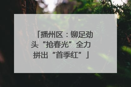 播州区：铆足劲头“抢春光”全力拼出“首季红”